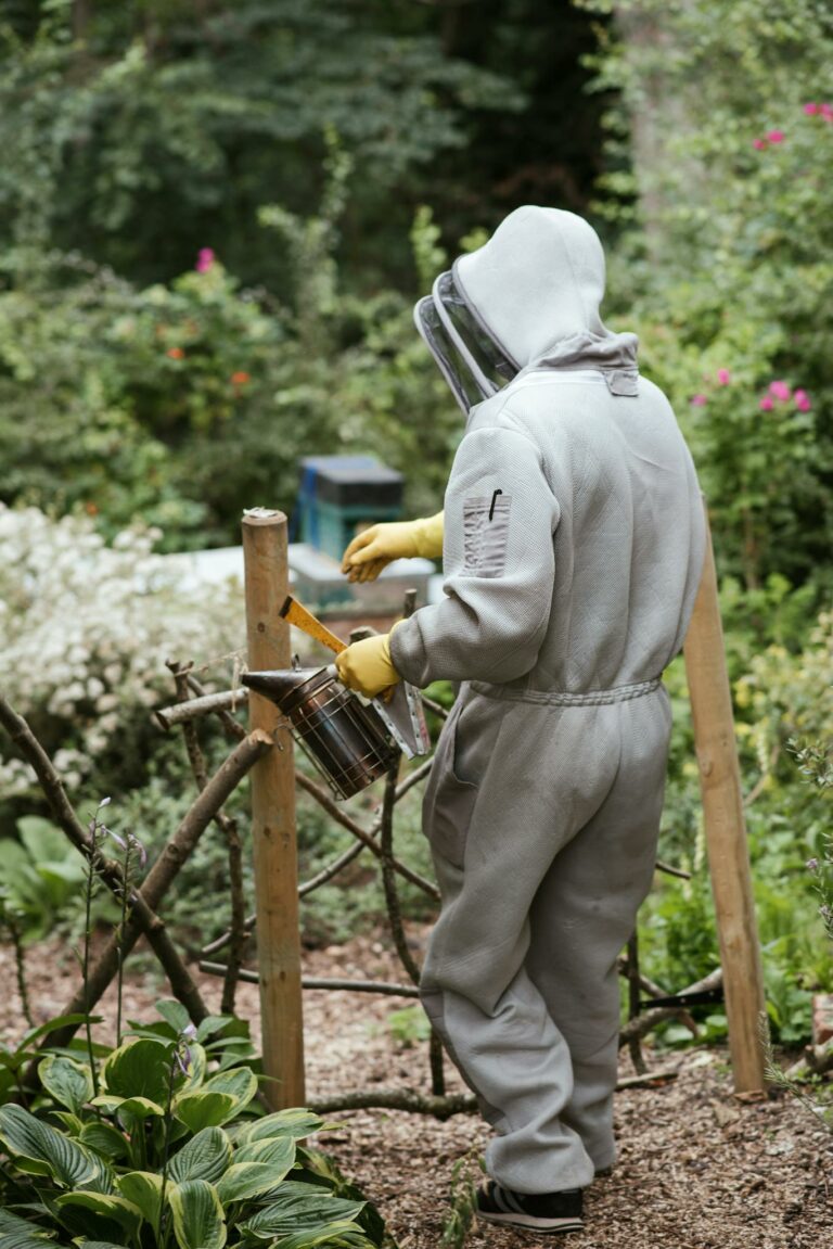 Beekeeper with equipment going in apiary