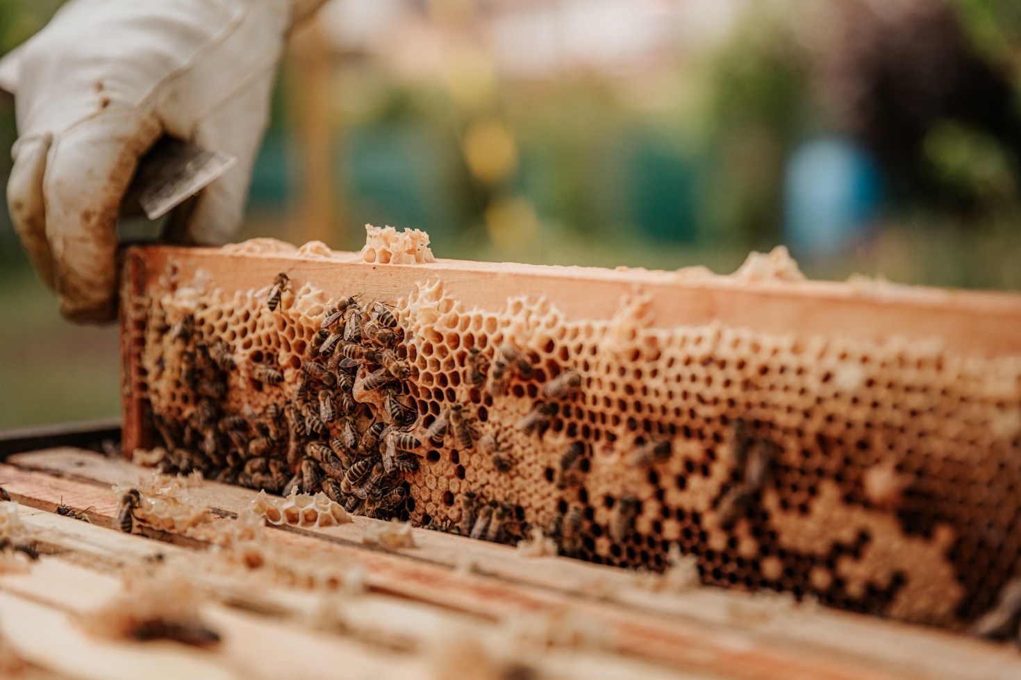 The Intersection of Nature and Craftsmanship